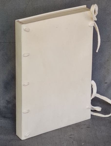 Vellum bound note book